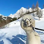 乡村民宿 格朗德奈霍夫生物旅馆 *