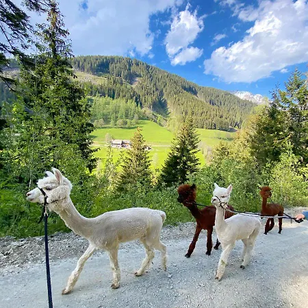 Casa di campagna Bio-bauernhof Grundlehnerhof Ramsau am Dachstein