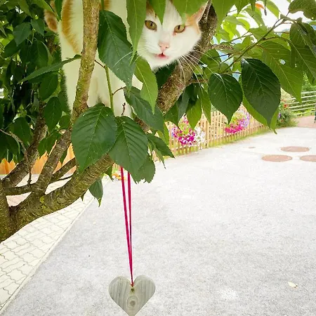 Bio-bauernhof Grundlehnerhof *