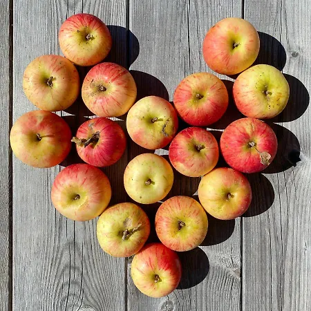 Bio-bauernhof Grundlehnerhof