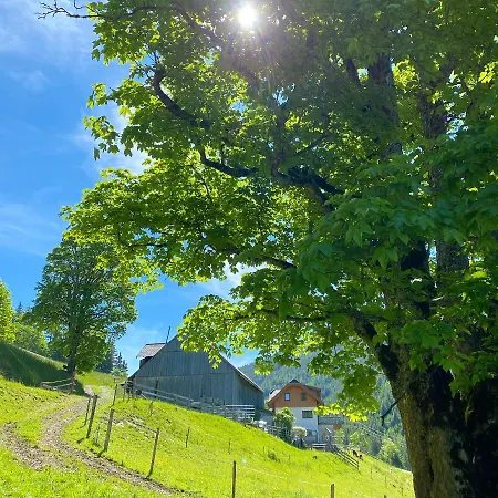 Bio-bauernhof Grundlehnerhof Lantställe Ramsau am Dachstein