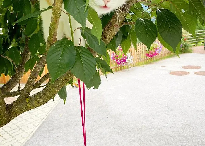 Bio-bauernhof Grundlehnerhof *