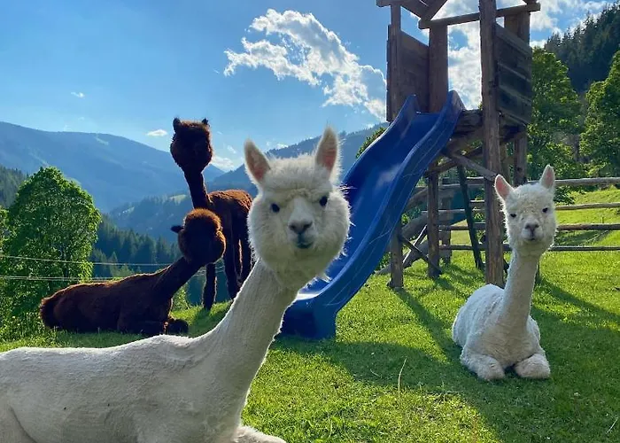 Séjour à la campagne Bio-bauernhof Grundlehnerhof *