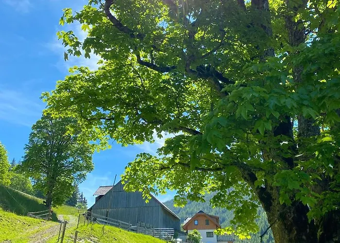 Bio-bauernhof Grundlehnerhof Літній будинок Рамзау-ам-Дахштайн