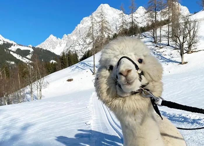 Літній будинок Bio-bauernhof Grundlehnerhof *