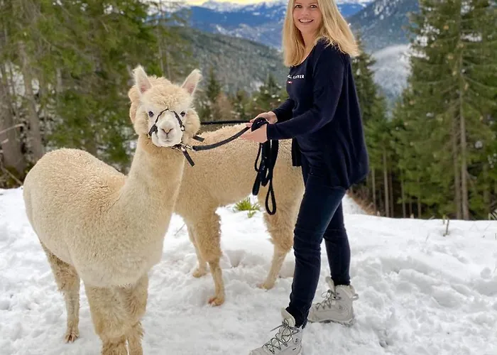 Bio-bauernhof Grundlehnerhof