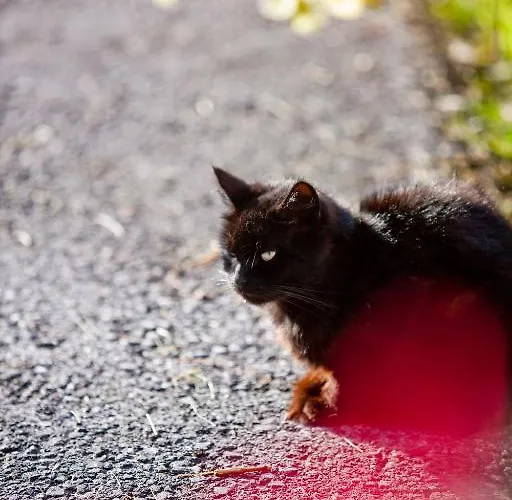 Bio-bauernhof Grundlehnerhof Séjour à la campagne *